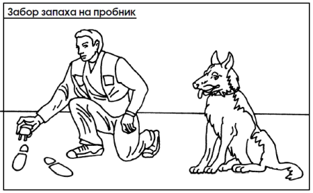 Схема дрессировки собак