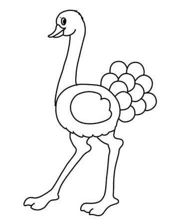 Страус раскраска для детей