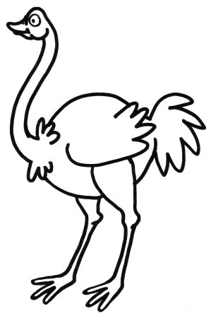 Страус эму раскраска для детей