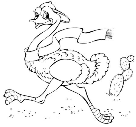 Страус нанду