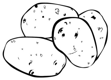 Картофель раскраска