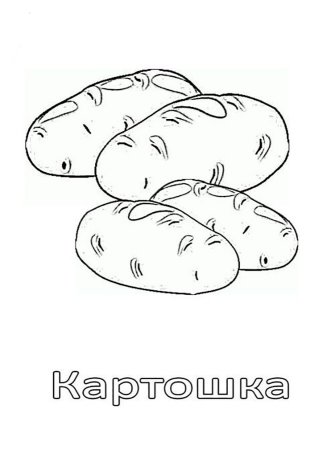 Картошка раскраска для детей