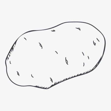 Картошка раскраска