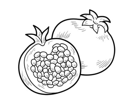 Фрукты. Раскраска