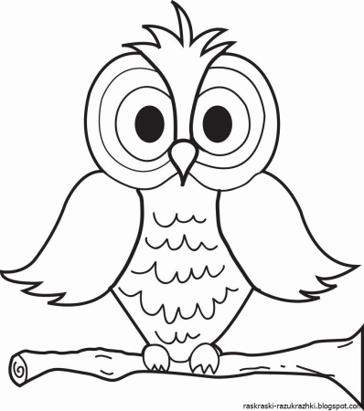Сова раскраска для детей