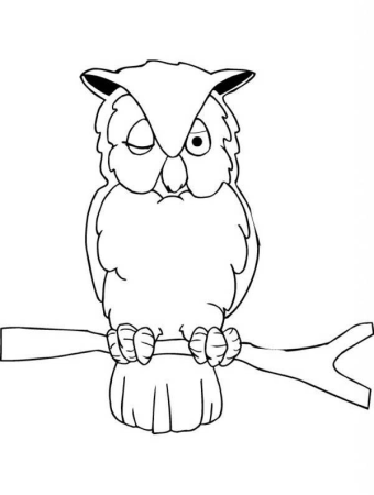 Сова раскраска
