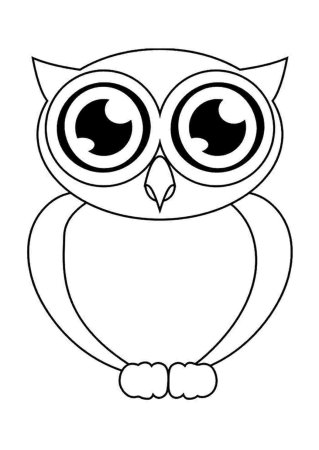Сова раскраска для детей на прозрачном фоне