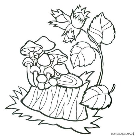 Пень раскраска для детей
