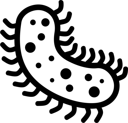 Бактерии чб