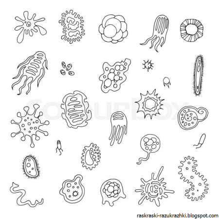 Бактерии задания для детей