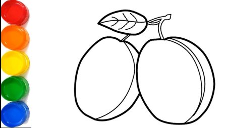 Слива раскраска