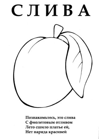 Слива раскраска для детей