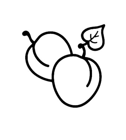 Слива раскраска для детей