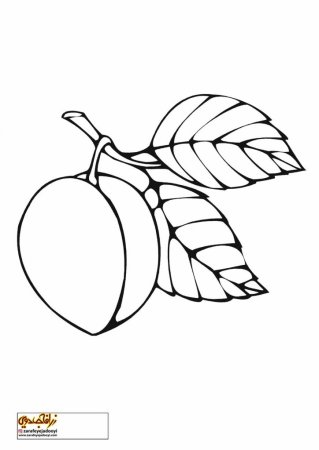 Слива раскраска для детей