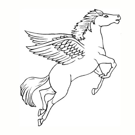 Раскраски Белла Сара