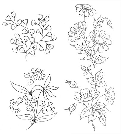 Ветреница Лесная раскраска