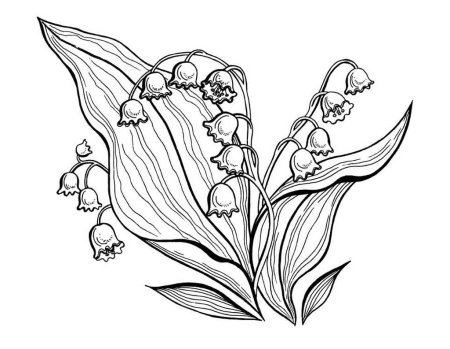 Чистяк весенний