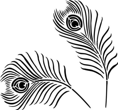 Перо павлина