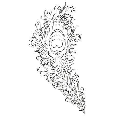 Перо Жар птицы разукрашка