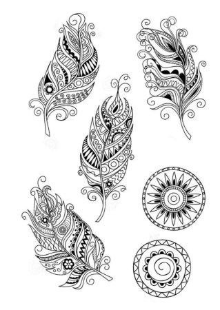 Перо Жар птицы для раскрашивания