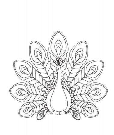 Перо павлина