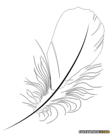 Набросок перо Жар птицы