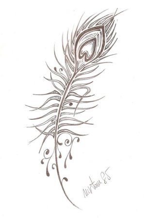 Декоративная стилизация пера
