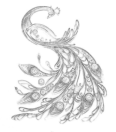 Тату перо павлина эскиз