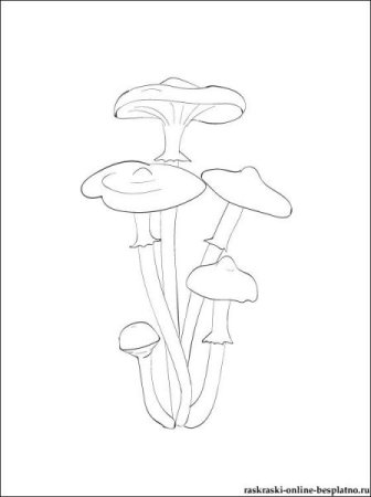 Грибы опята раскраска для детей
