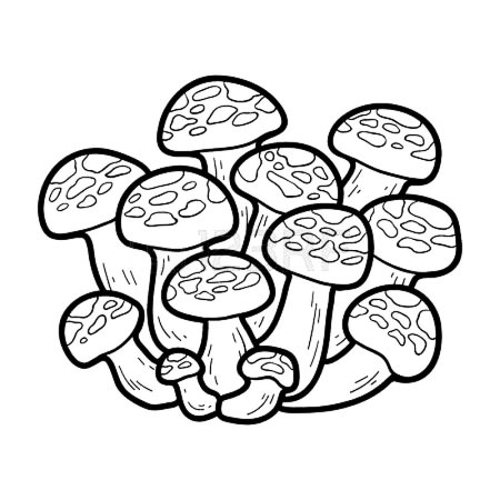 Грибы лисички, опята