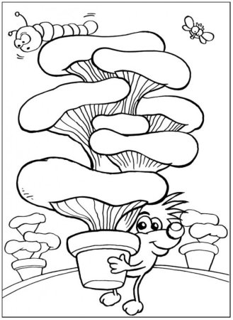 Раскраска опята на пеньке