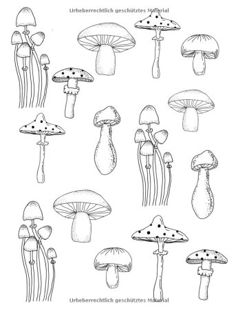 Опята грибы