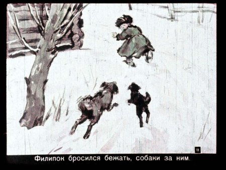 Иллюстрации к рассказу Филипок Толстого
