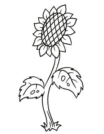 Цветы раскраска для детей