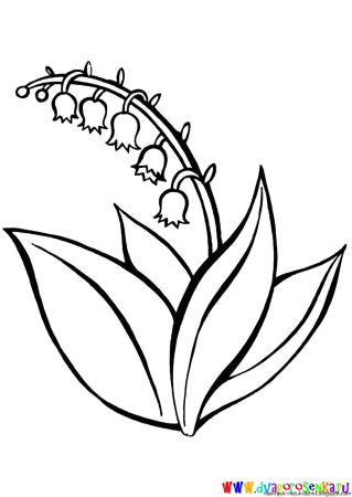 Раскраска комнатные растения для детей