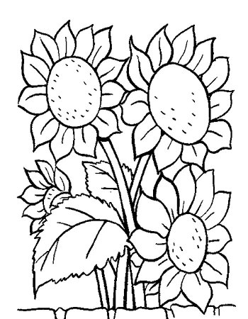 Растения раскраска для детей