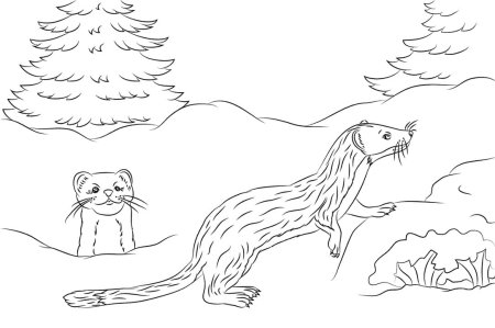 Хорек раскраска для детей