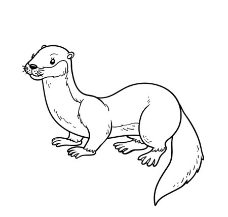 Ласка рисунок