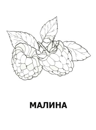 Малина раскраска для детей