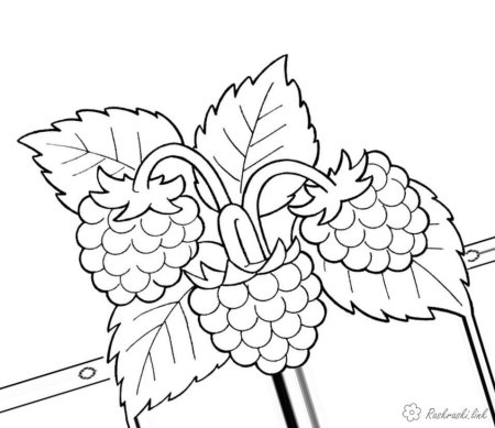 Трафарет ягоды малины