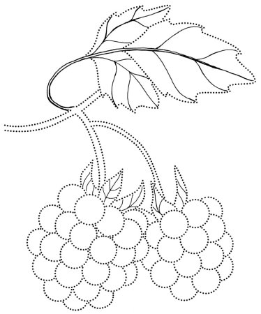 Малина раскраска