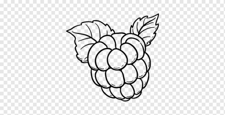 Малина раскраска