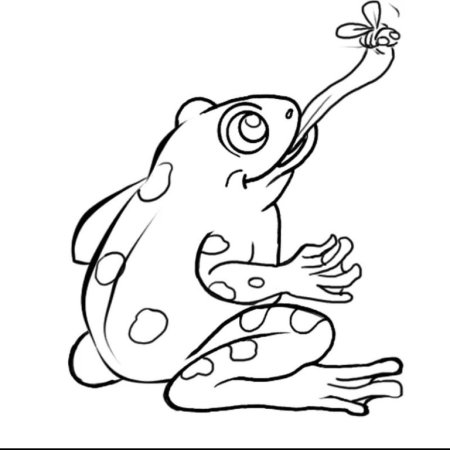 Лягушка раскраска для малышей