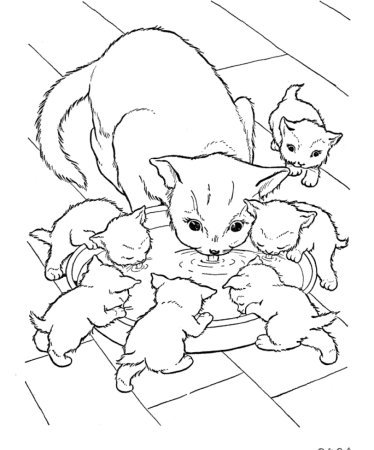 Кошка раскраска для детей