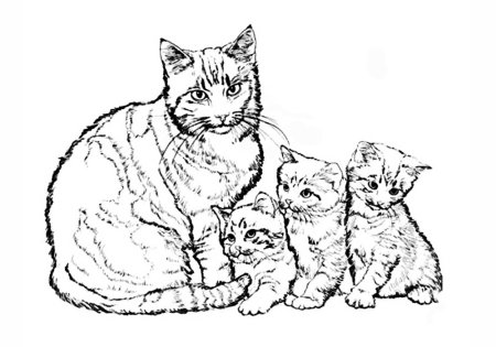 Котенок. Раскраска
