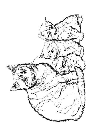 Коты Аристократы раскраска