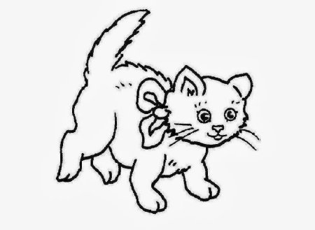 Котенок раскраска для малышей