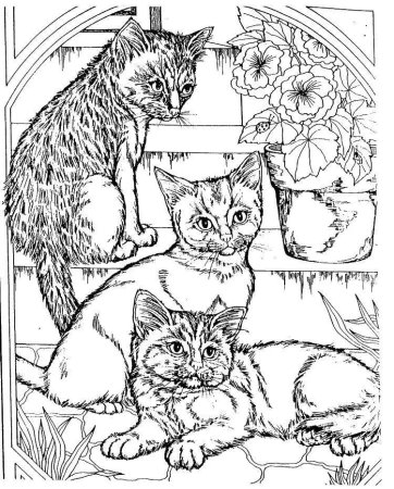 Раскрамкакошка с котенком