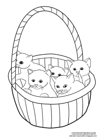 Кошки. Раскраска