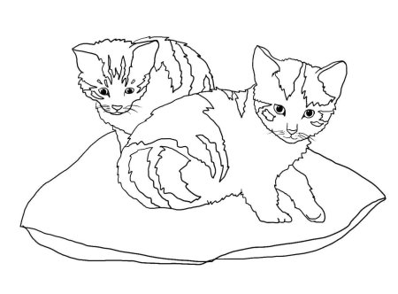 Раскраска кот кошка и котята